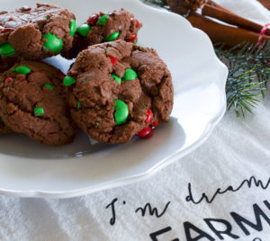 Double Chocolate Christmas Cookies - Sarah Joy
