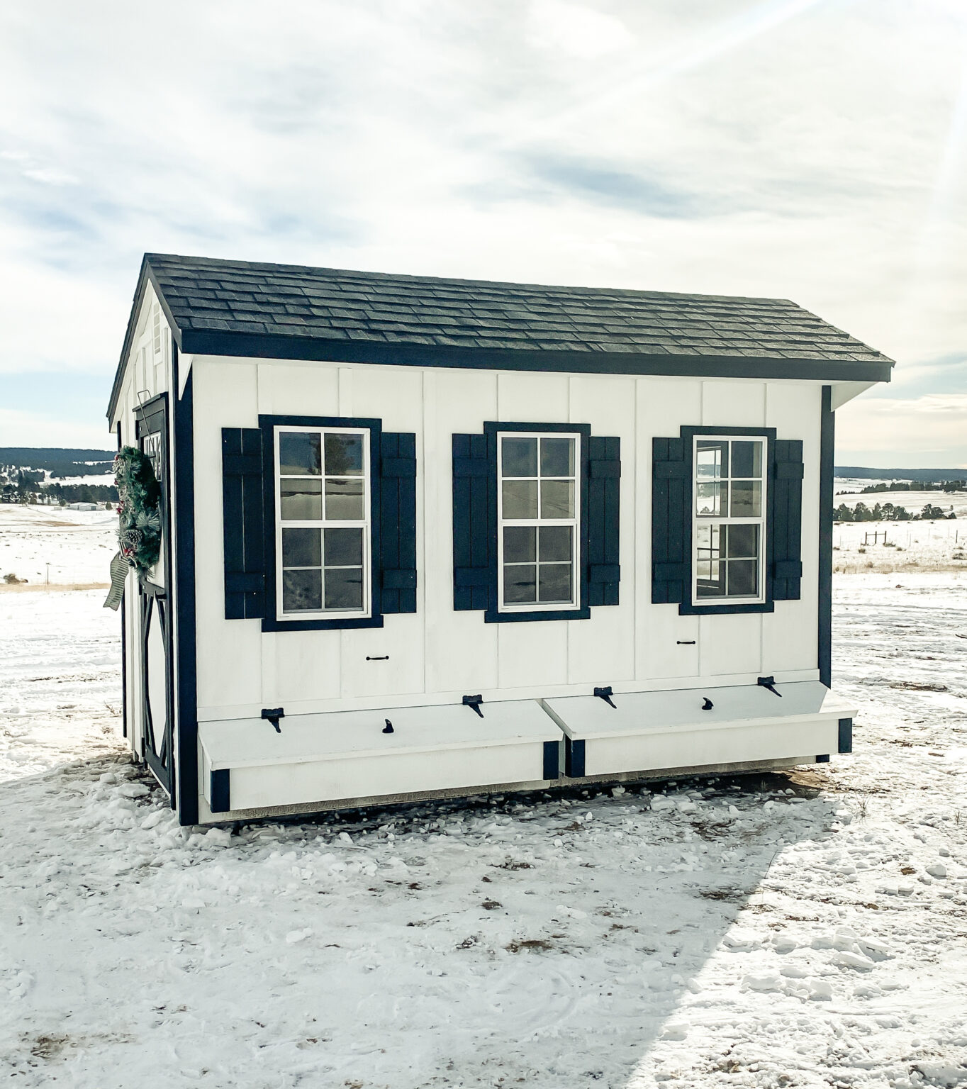 Our Chicken Coop is Here! Sarah Joy